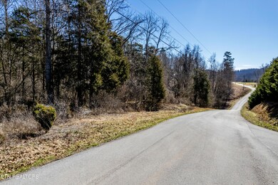 OldLeadineBendrd-1