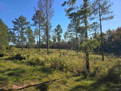 0 Ralph Wood Rd unit 246370, Dublin, GA 31021 - photo 3