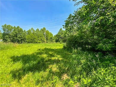 0 Dolezal Rd, Dillonvale, OH 43943 - photo 5