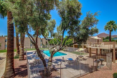 Pool and Elevated Deck