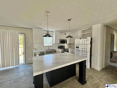 2010 Warren's Loop, Marion, SC 29571 - photo 2