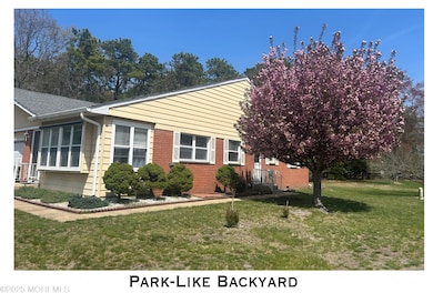 park-like backyard