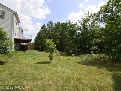 42259 St Huberts Place, Chantilly, VA 20152 - photo 5