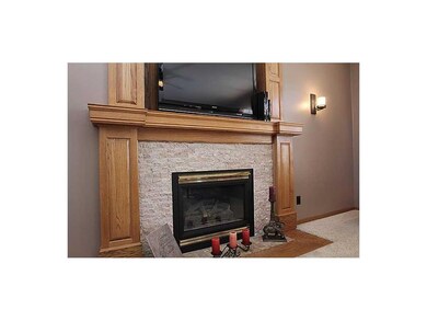 Fireplace. Gas Fireplace