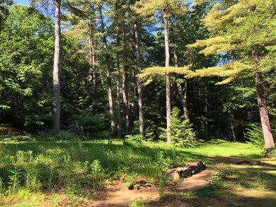 View from Driveway twrds property