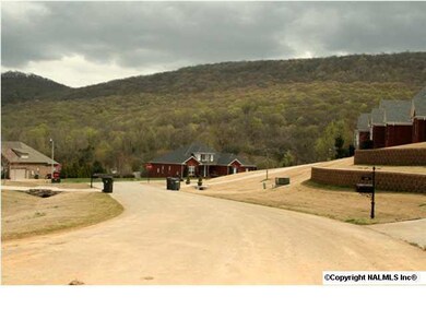 104 Sunrise Cove Cir, Huntsville, AL 35811 - photo 4