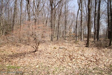 6 Paiute Path, Pocono Lake, PA 18347 - photo 2