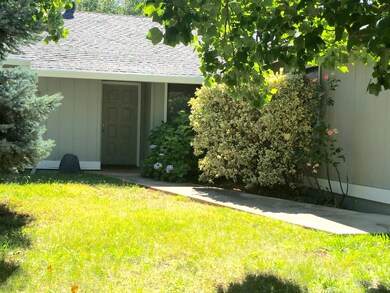 Front yard