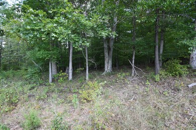 0 Moore Hollow Rd unit RTC3000716, Indian Mound, TN 37079 - photo 3