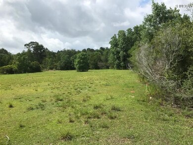 23000 Enoch Nettles Rd, Picayune, MS 39466 - photo 3