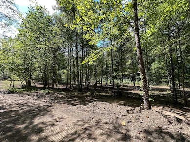 1730 Williams Creek, Rush, KY 41168 - photo 4