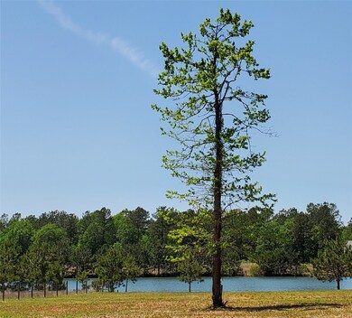 2033 White Buck Ct, Cleveland, TX 77328 - photo 3