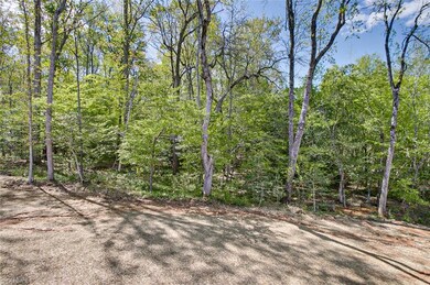 1614 Ashbrook View Ln, Asheboro, NC 27205 - photo 4