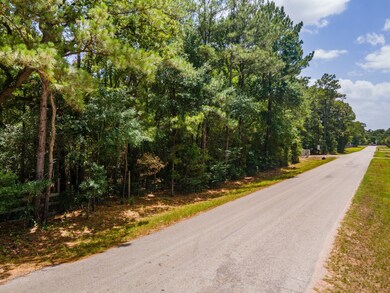 22051 Schneider Cir, Hockley, TX 77447 - photo 7