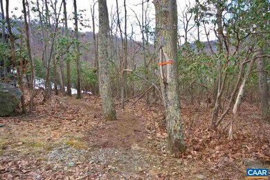 775 Pedlars Edge Dr, Roseland, VA 22967 - photo 3