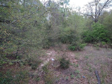 IMG_20220408_162159686