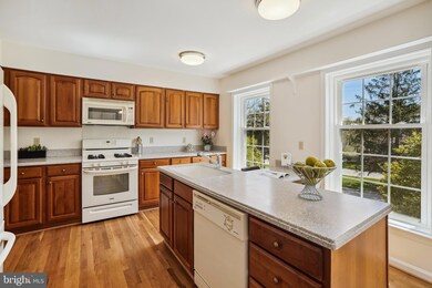 5934 Munson Ct, Falls Church, VA 22041 - photo 7