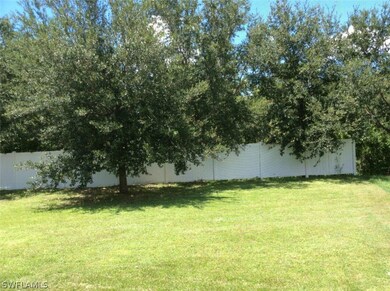 11033 River Trent Ct, Lehigh Acres, FL 33971 - photo 2