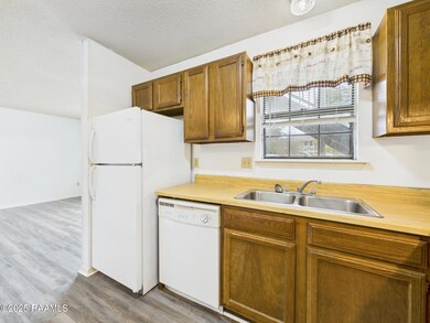 CAM04246G0-PR0182-STILL002