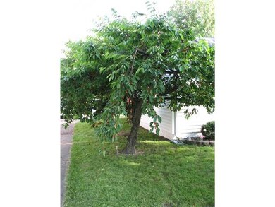 187 Sommer St, North Tonawanda, NY 14120 - photo 5