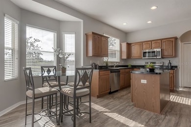 18952 Quarry Badger Rd, Land O Lakes, FL 34638 - photo 7