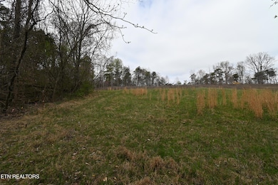 58.5 Acres Greenlee Rd, Rutledge, TN 37861 - photo 4