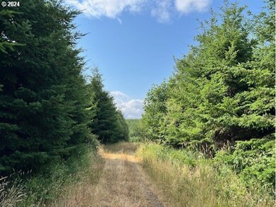0 Lindberg Rd, Clatskanie, OR 97016 - photo 5