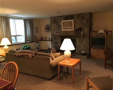 5 Northbrook Village Rd unit A-13, Dover, VT 05356 - photo 2