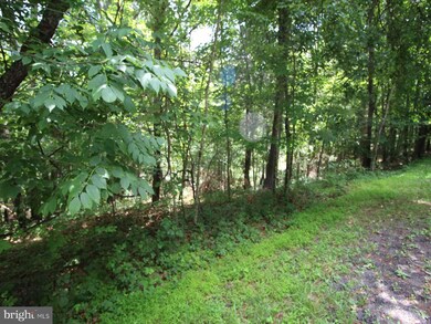 0 Anderson Rd unit VASH2006376, Basye, VA 22810 - photo 4