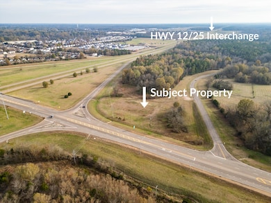 0 Hwy182 Hwy 25 Mockingbird Rd unit 25-2487, Starkville, MS 39759 - photo 5