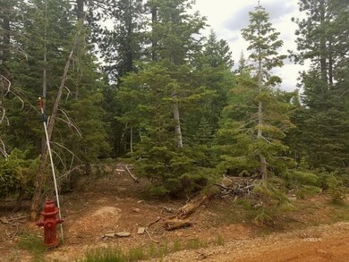 6-Fire Hydrant on Property