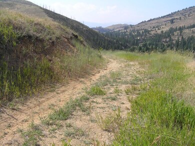 245 Dickson Creek Rd, Conner, MT 59827 - photo 7