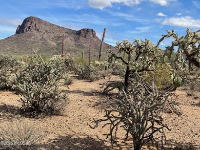 7305 N van Ark Rd unit 2, Tucson, AZ 85743 - photo 6