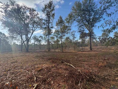 Lot 1 TBD County Road 4108, Henderson, TX 75654 - photo 7