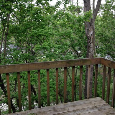 back deck view
