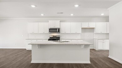 247 Thompson Ridge Ln, Dallas, GA 30132 - photo 7