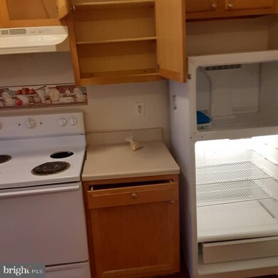 2435 Lakeview Ave unit 2A, Baltimore, MD 21217 - photo 6