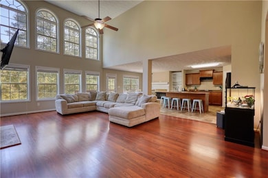 Living area with dark wood finished floors, a high ceiling, a textured ceiling, and a ceiling fan