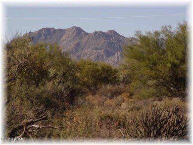 Lush desert landscaping