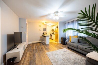 59 Swan St, Everett, MA 02149 - photo 5