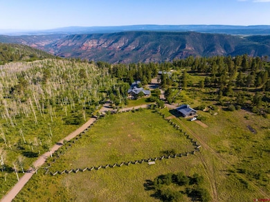 3289 Laughing Dog Rd, Placerville, CO 81430 - photo 3