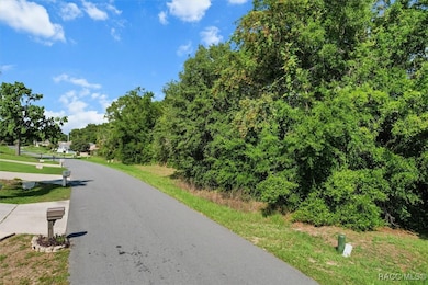 905 W Colbert Ct, Beverly Hills, FL 34465 - photo 4