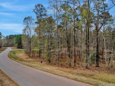 19 Mountain Rock Trail, Boydton, VA 23917 - photo 2