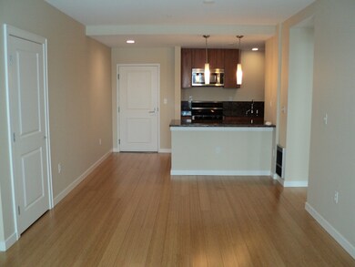 Audubon Park unit 609, Boston, MA 02215 - photo 4