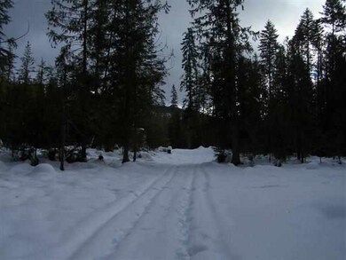 182 Shady Ln, Cusick, WA 99119 - photo 2