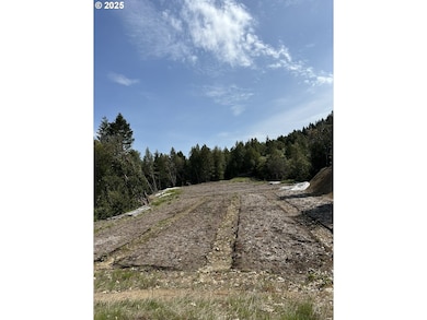 0 Redwood Hwy unit 403563901, O'Brien, OR 97534 - photo 2