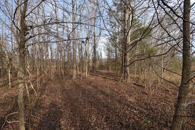 824 Buffalo Bottom Rd, Linden, TN 37096 - photo 7