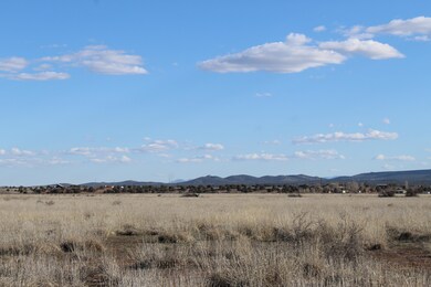 Tbd W Duane Ln, Paulden, AZ 86334 - photo 3