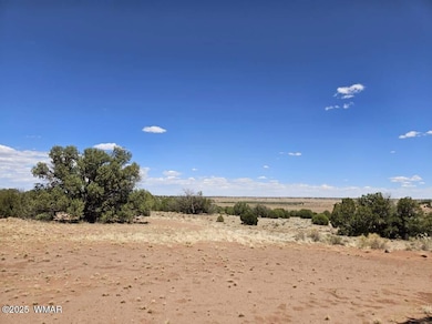 27 N 9183, Concho, AZ 85924 - photo 2