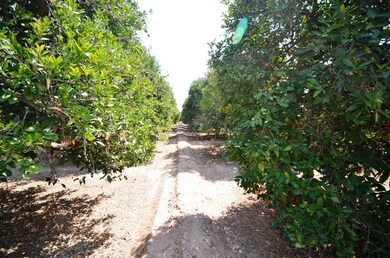 Citrus